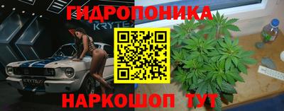 крисы Гагарин