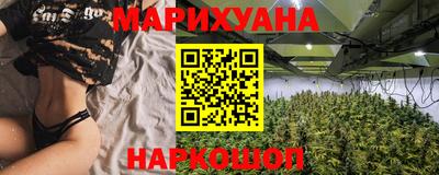 крисы Гагарин