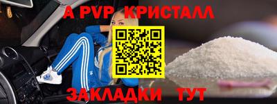крисы Гагарин