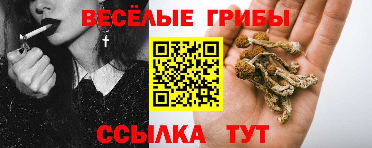 Псилоцибиновые грибы прущие грибы  Вход с VPN  Москва 
